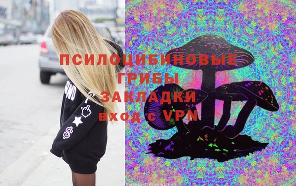spice Алзамай