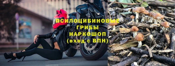 дмт Алексин